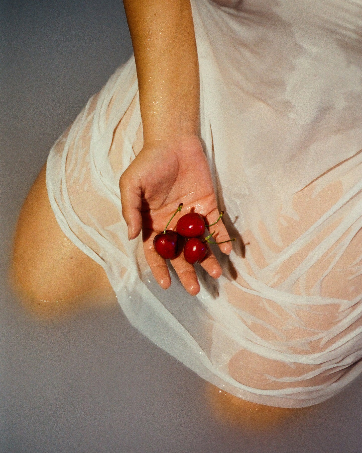 8 x 10" Print: Cherries